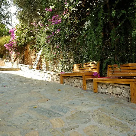 Lycia 4*