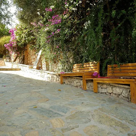 Lycia 4*